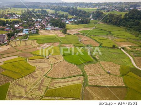 Aerial view of rice paddy field in Pua district a significant maize-growing area in Nan province of Thailand. Thailand has a strong tradition of rice production. Aerial view of rice paddy field in Pua district a significant maize-growing area in Nan province of Thailand. Thailand has a strong tradition of rice production. 93478501