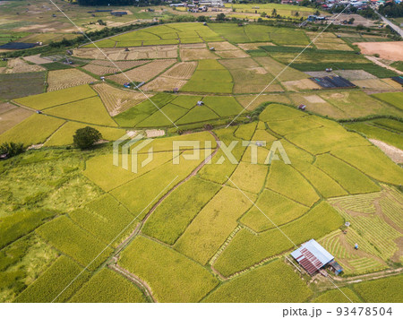 Aerial view of rice paddy field in Pua district a significant maize-growing area in Nan province of Thailand. Thailand has a strong tradition of rice production. Aerial view of rice paddy field in Pua district a significant maize-growing area in Nan province of Thailand. Thailand has a strong tradition of rice production. 93478504