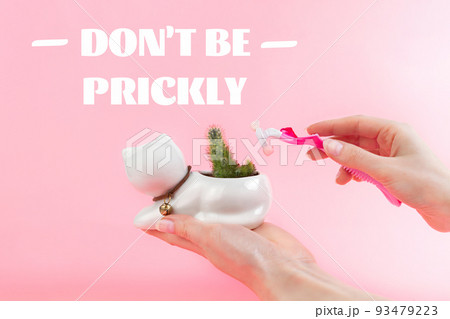 A woman's hands holding a razor and green cactus in a white flowerpot like cat, in palm on a pink background. The concept of depilation and removal unwanted hair on the body. Don't be prickly 93479223