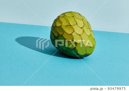 Close up high quality image of whole sugar-apple, fruit of Annona squamosa cherimoya, fruit composition on blue pastel 93479975