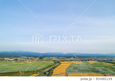 黄金色に輝き収穫期を迎えた麦畑と田畑が広がる金沢平野のドローン撮影写真｜石川県能美市 93480139