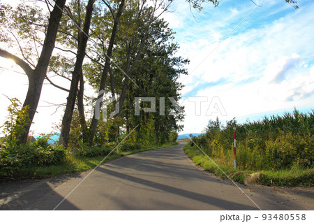 秋の丘陵地帯を通る道 秋の丘陵地帯を通る道 93480558