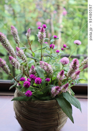 庭の花を野の花のように生ける 庭の花を野の花のように生ける 93480597