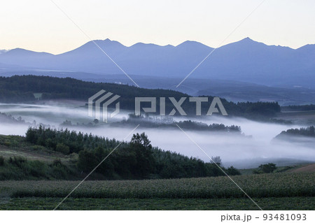 朝霧の丘 朝霧の丘 93481093