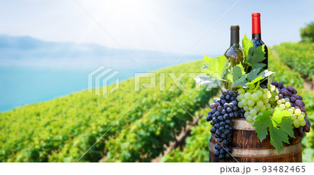 Red and white wine bottles and grapes on wine barrel 93482465