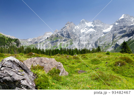 Swiss Alps mountains and blooming meadow 93482467