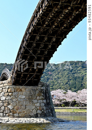 岩国市錦帯橋と桜 岩国市錦帯橋と桜 93482591
