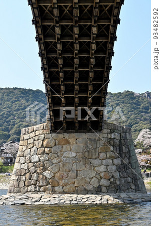 岩国市錦帯橋と桜 93482592