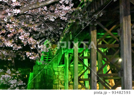 岩国市錦帯橋と桜の夜景 岩国市錦帯橋と桜の夜景 93482593