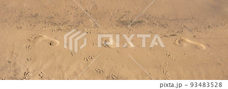 A chain of relief footprints, a trail of footprints of one person. The image of a lonely path in the sand 93483528