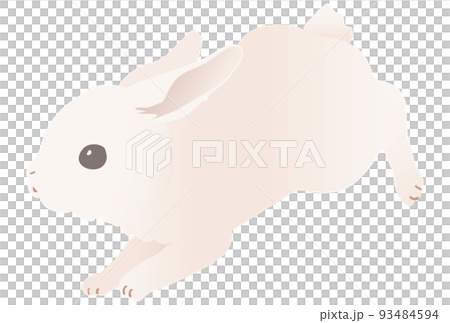 可愛的白兔切跳的矢量圖解 可愛的白兔切跳的矢量圖解 93484594