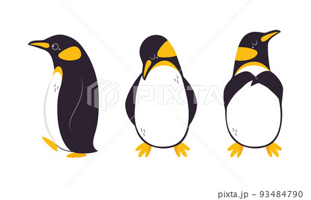Set of emperor penguins in different poses. Cute antarctic bird. Symbol of cold and winter flat vector illustration 93484790