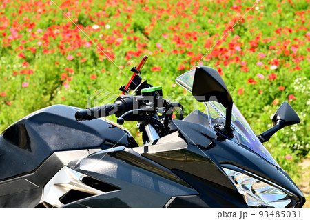 岡山県笠岡市笠岡ベイファームのポピーの花畑 93485031