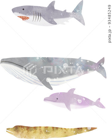 色々な魚のイラスト 色々な魚のイラスト 93485249