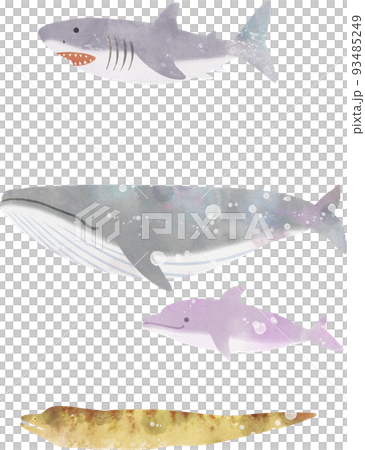 Illustration of various fish 93485249
