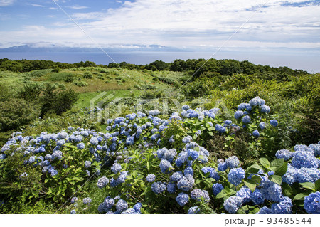 球島山 球島山 93485544