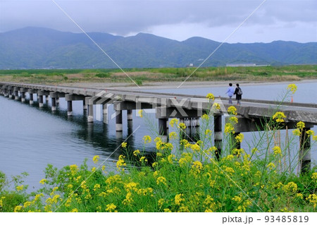 吉野川潜水橋 93485819