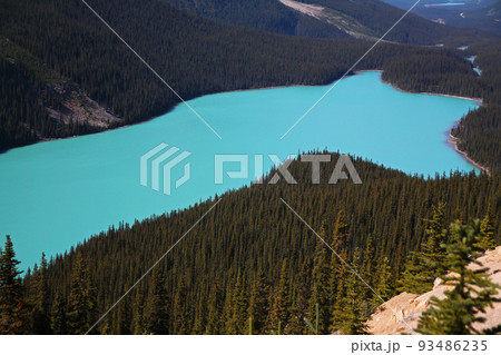 Dramatic turquoise color of the water of Peyto Lake Dramatic turquoise color of the water of Peyto Lake 93486235