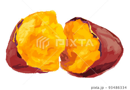 蜜が詰まった焼き芋のイラスト 93486334
