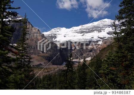 The spectacular glacier behind the green trees The spectacular glacier behind the green trees 93486387