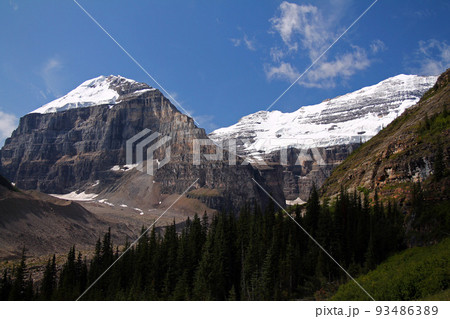Alpine paradise with snow, glacier, peaks and trees 93486389