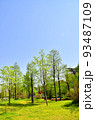 公園 ベンチ 椅子 93487109