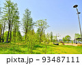 公園 建物 建築物 93487111