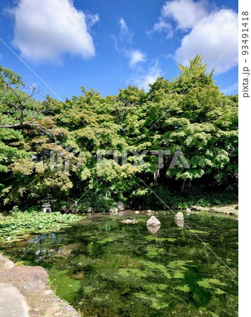 関西学院大学 関西学院大学 93491418