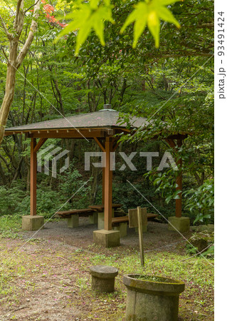 茨城県日立市　小木津山自然公園内のベンチ 93491424