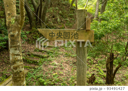 茨城県日立市 小木津山自然公園内の行先表示 茨城県日立市 小木津山自然公園内の行先表示 93491427