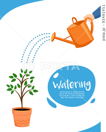 watering. Concept of plant growth or business. 93491451