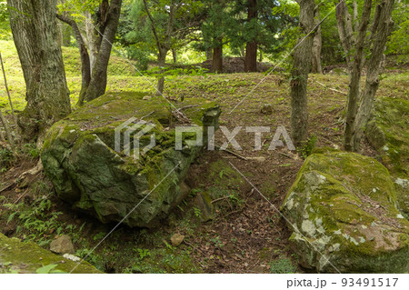 茨城県日立市　小木津山自然公園内の岩 93491517