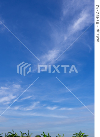 Faint clouds floating scattered across the sky Faint clouds floating scattered across the sky 93492742