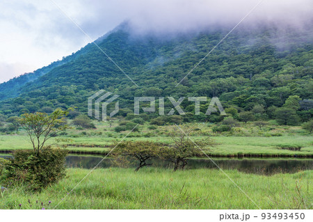 （群馬県）赤城山　紅葉が始まった、覚満淵 93493450
