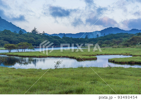 （群馬県）赤城山　紅葉が始まった、覚満淵 93493454