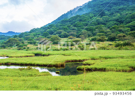 （群馬県）赤城山　紅葉が始まった、覚満淵 93493456