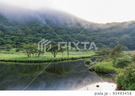 （群馬県）赤城山　紅葉が始まった、覚満淵 93493458
