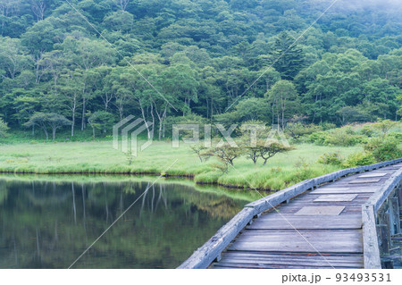 （群馬県）赤城山・覚満淵・木道　秋の気配 93493531