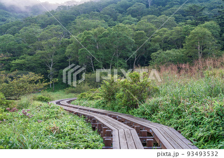 （群馬県）赤城山・覚満淵・木道　秋の気配 93493532