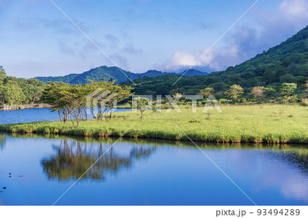 （群馬県）赤城山・覚満淵　秋の気配 93494289