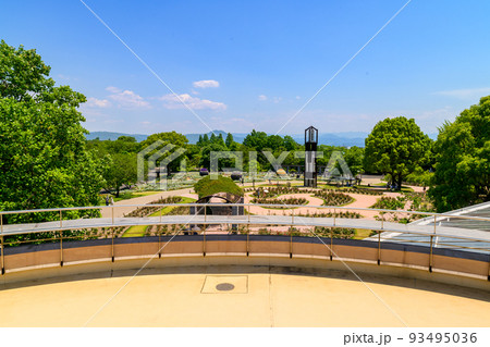 春空を背景に花畑風景「くまもと花と緑の博覧会 会場風景」くまもと動植物園2022年(春) 春空を背景に花畑風景「くまもと花と緑の博覧会 会場風景」くまもと動植物園2022年(春) 93495036