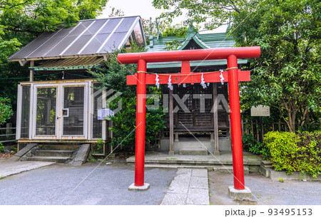 日本の川崎都市景観 8月・夏。緑に包まれた川崎の稲毛神社境内・大鷲神社(おおとりじんじゃ) 日本の川崎都市景観 8月・夏。緑に包まれた川崎の稲毛神社境内・大鷲神社(おおとりじんじゃ) 93495153