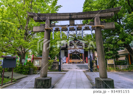 日本の川崎都市景観　8月・夏。緑に包まれた川崎の稲毛神社 93495155