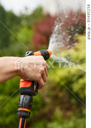 woman watering plant in garden in summer woman watering plant in garden in summer 93495258