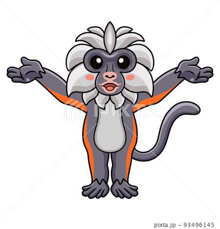 Cute zanzibar red colobus monkey cartoon...のイラスト素材 [93496145] - PIXTA