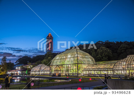愛知県名古屋市 東山植物園温室前館のライトアップ 愛知県名古屋市 東山植物園温室前館のライトアップ 93496628