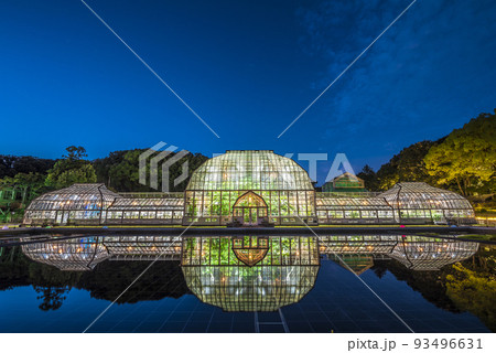 愛知県名古屋市　東山植物園温室前館のライトアップ 93496631