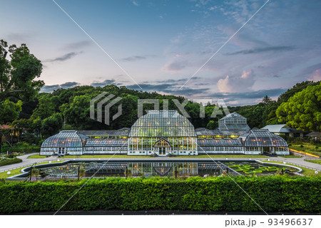 愛知県名古屋市　東山植物園温室前館のライトアップ 93496637
