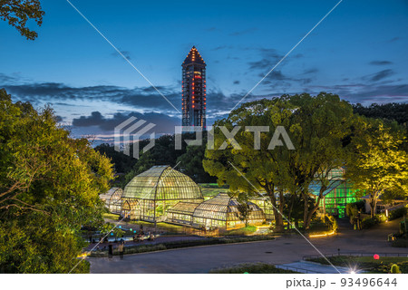 愛知県名古屋市 東山植物園温室前館のライトアップ 愛知県名古屋市 東山植物園温室前館のライトアップ 93496644