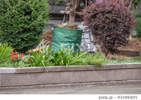 花壇の手入れ 花壇の手入れ 93496805